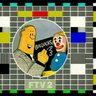 Bat & Trap's profile picture