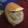 David's profile picture
