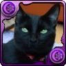 黒猫@FX修行中 profil fotoğrafı