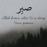 Ibrahim Wali's profile picture