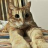 Фото профиля Frankie