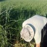 Фото профиля طيفور م البدري