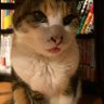 ネコエモン 的头像