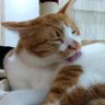 Kagaya profil fotoğrafı