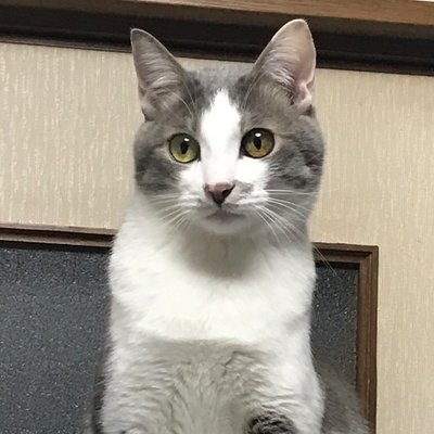 mips_'s profile picture