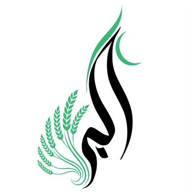 berhawtatsudair's profile picture