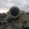 sansfal's profile picture