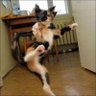 Hiroshi4 profil fotoğrafı