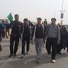 Фото профиля Esmaeil Jafari