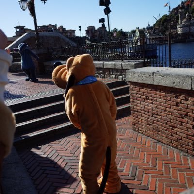 ruitaroro's profile picture
