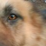 S Asoa profil fotoğrafı