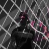 Фото профиля xQsme