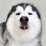 Ekm_023's profile picture