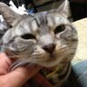 Profilbild von ポジティブバイブレーション!たか