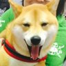 Tim 的头像