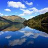 Dingwall Media's profile picture