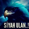 Suleyman kaya profil fotoğrafı