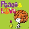 Lau c.s.'s profile picture