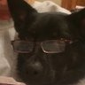 Debra Buenik's profile picture
