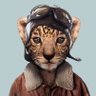 Profilbild von 刘辉