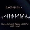 Фото профиля The Fact
