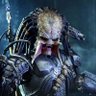 RazvanAnton's profile picture