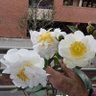🦊Ana Maria🦊 profil fotoğrafı