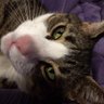 Profilbild von Dorie