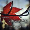 Profilbild von binyameanسناء الخالد