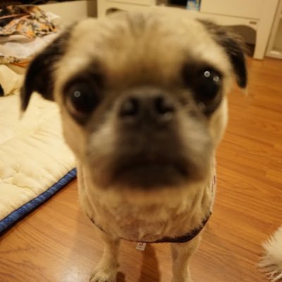 geeeeng's profile picture