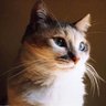 みのり profil fotoğrafı