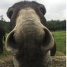 🤔 profil fotoğrafı
