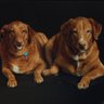 Фото профиля Gwen Gordon