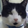 Profilbild von coco