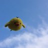 空色ジーンズ's profile picture