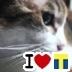 Profilbild von えみるく