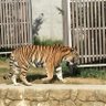 とも2 的头像