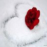 منبع الذوق 🌹 的头像