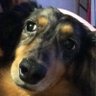 mitsuwo's profile picture