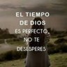 plebeyadelplata 的头像