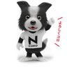 Mr.ミッチー's profile picture