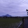 heri tranggono's profile picture