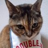 Profilbild von 黒猫男爵