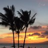 Lovemaui profil fotoğrafı