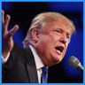 Trumplitico 的头像