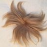 Donald Trump Toupee profil fotoğrafı