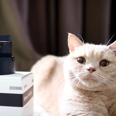 masa_yoshi310's profile picture