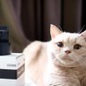 まさよし's profile picture