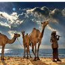 ضجيج الصمت profil fotoğrafı