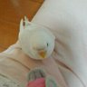 ミント♪ 的头像